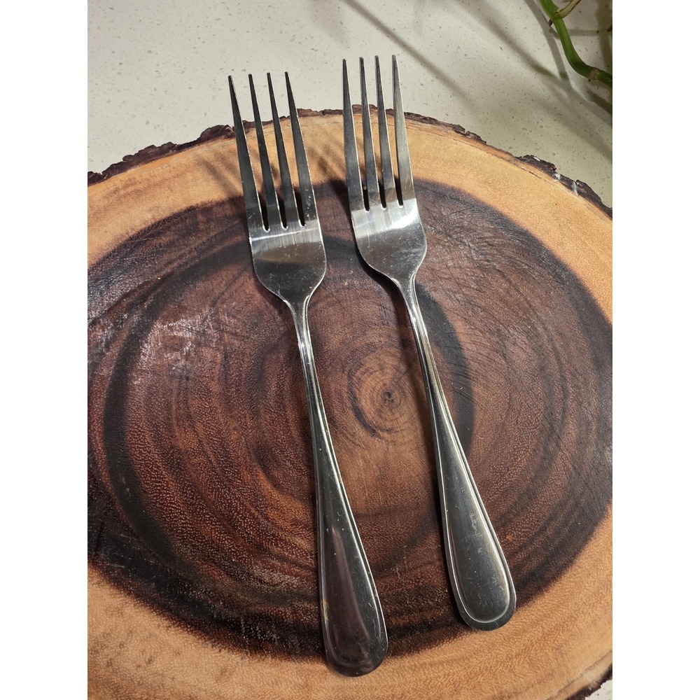 2 Hampton Silversmiths ERIN Dinner Forks 8" Stainless Flatware Silverware